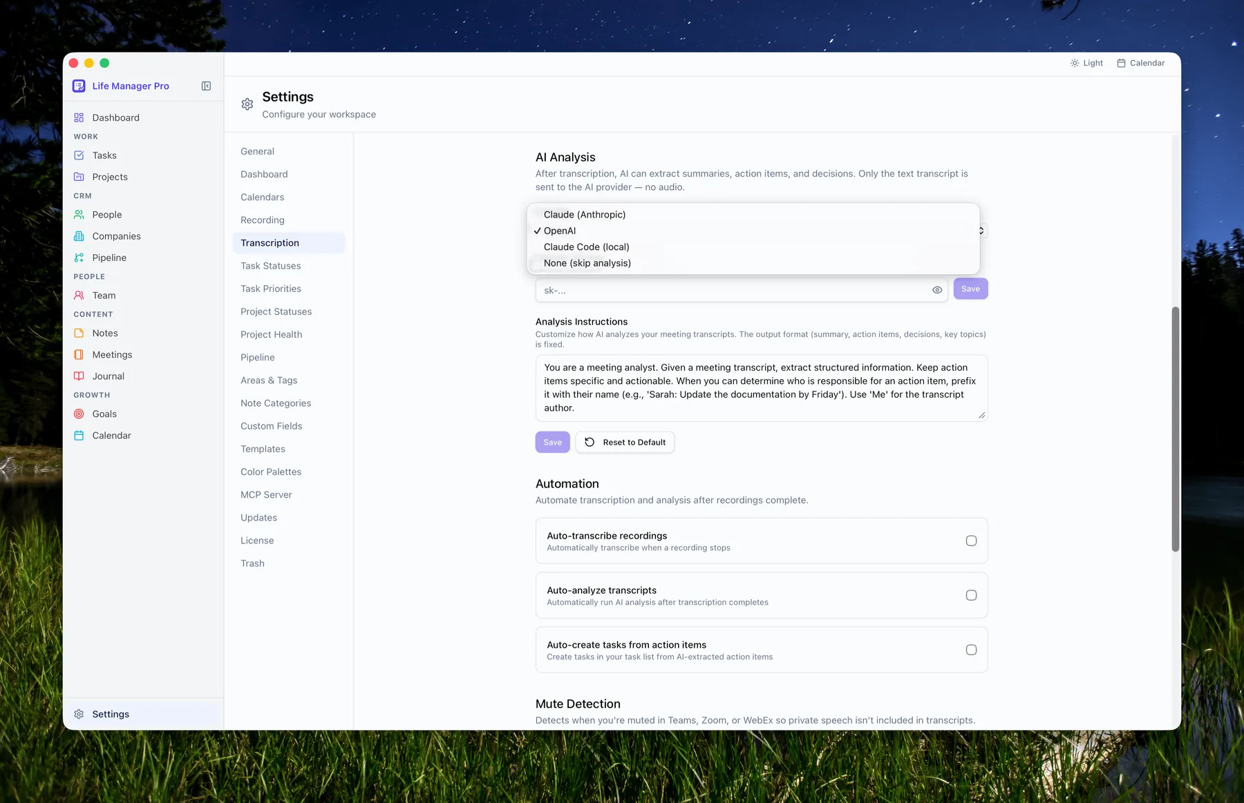 Settings — AI analysis options