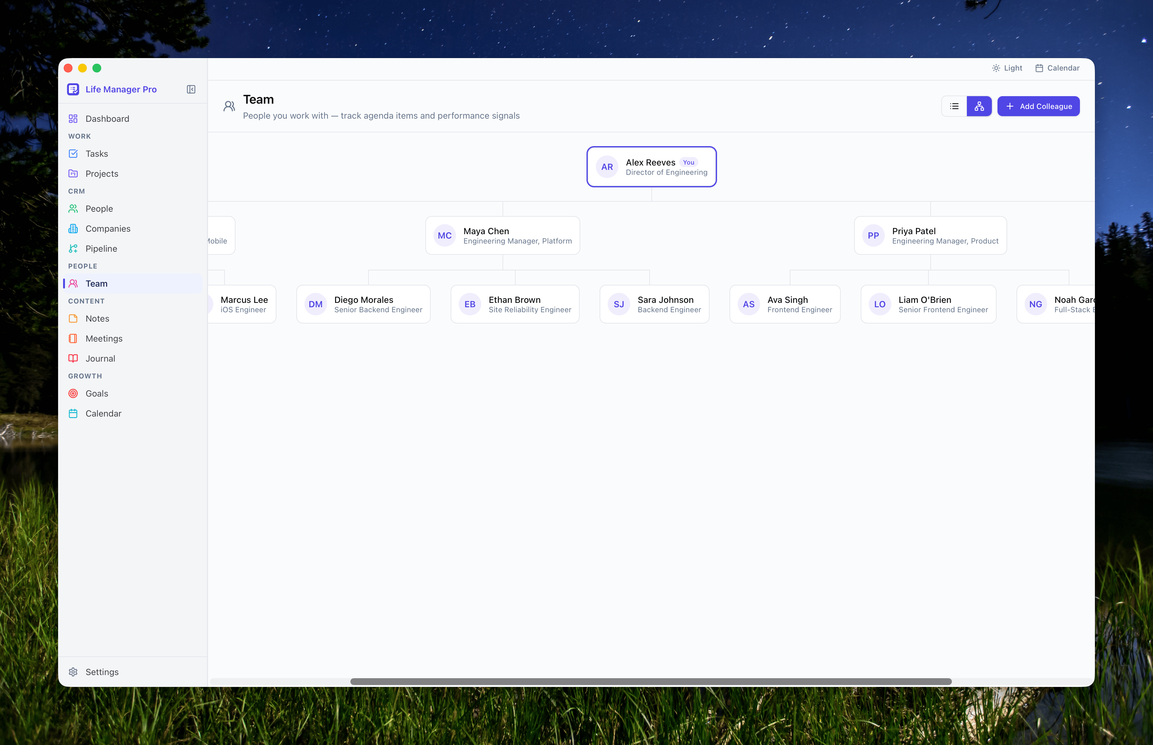 Team Org Chart View