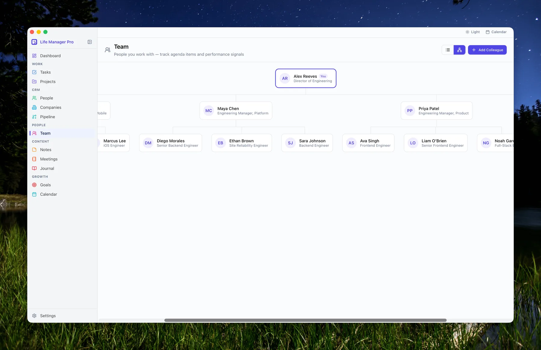 Team — org chart
